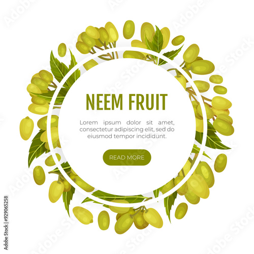 Neem Plant Banner Design with Medical Herb Vector Template
