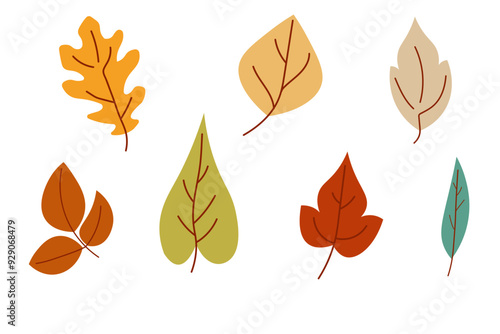 Hand drawn autumn leaves clipart