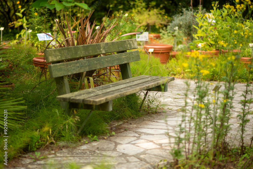 Rustic Wooden Bench in Serene Garden Pathway Surrounded by Lush Greenery and Potted Plants Rustic Wooden Bench in Serene Garden Pathway Surrounded by Lush Greenery and Potted Plants
