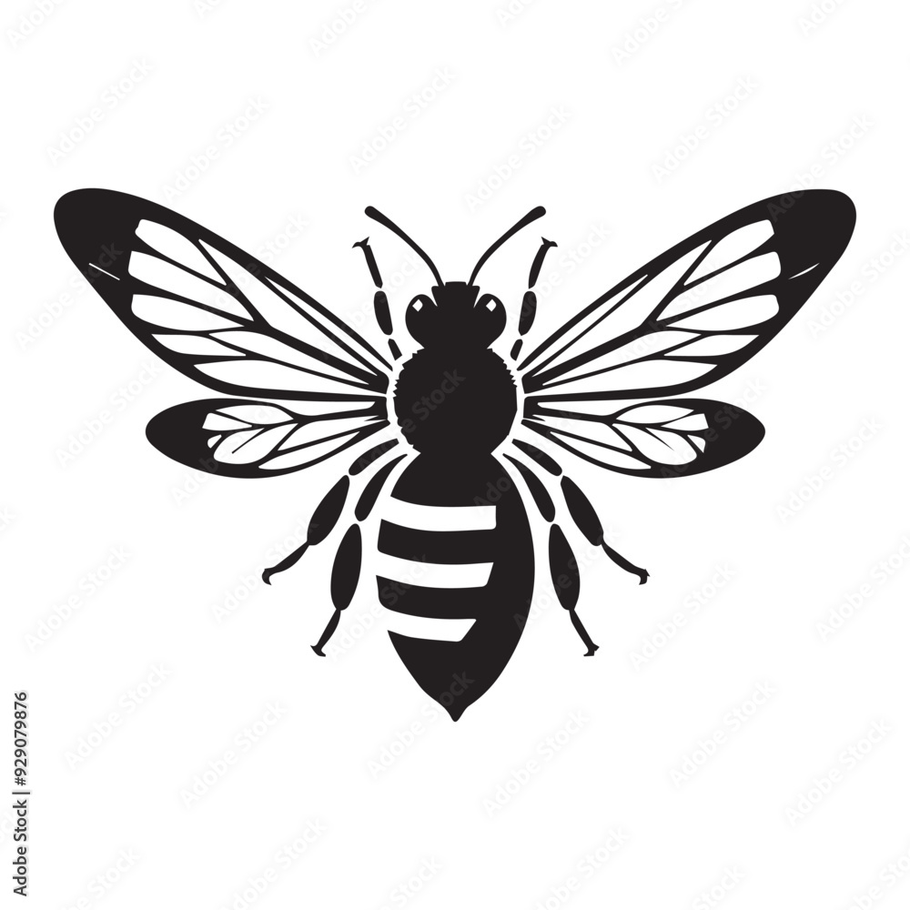 Obraz premium Adobe Illustrator Artwork