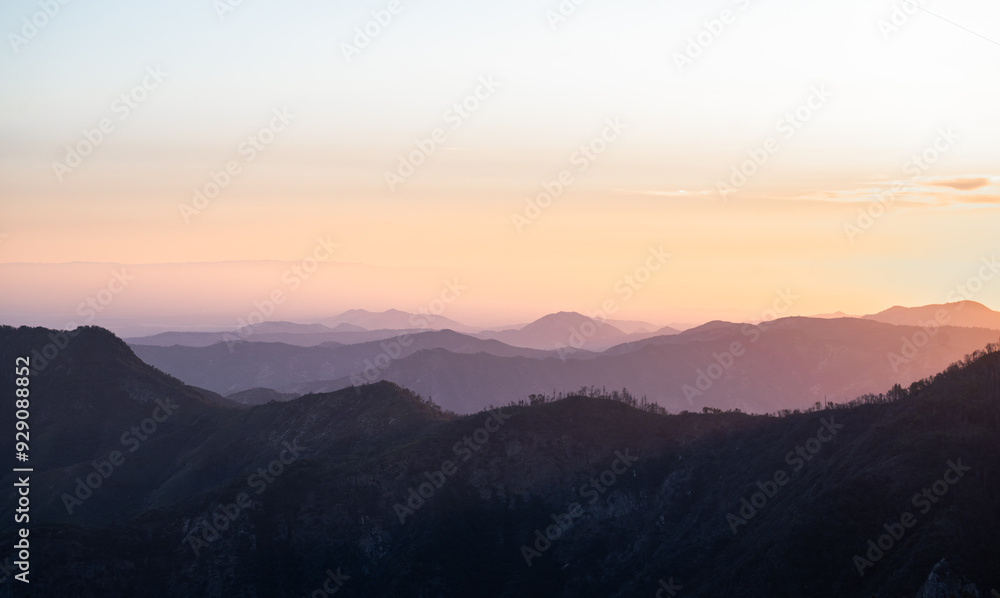 Beautiful sequoia national park in California Beautiful sequoia national park in California