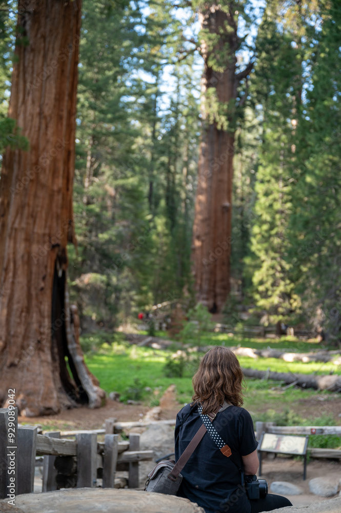 Young girl resting in sequoia national park Young girl resting in sequoia national park