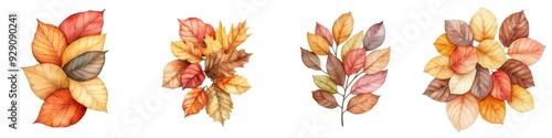 Collection of vibrant autumn leaves featuring shades of orange, yellow, and brown. Perfect for seasonal designs and decor.