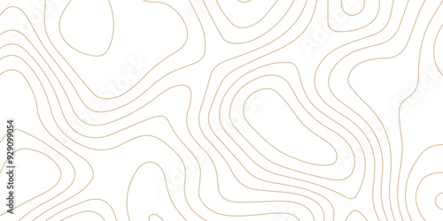 Abstract wave paper curved reliefs background .gradient multicolor wave curve lines banner background design .topographic contours map background .Vector geographic contour map.	