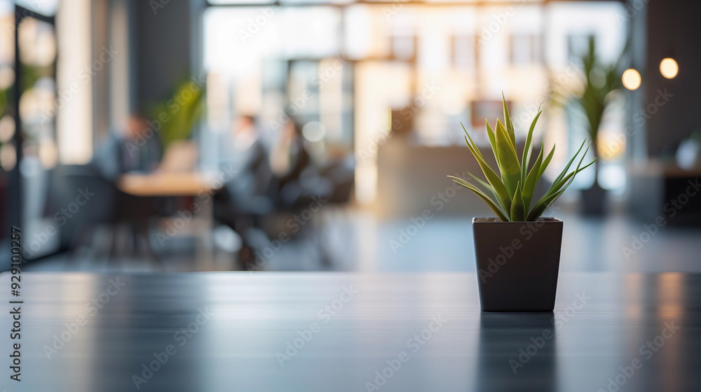 A potted plant sits on a table in a large office space with empty desk in a modern office A potted plant sits on a table in a large office space with empty desk in a modern office