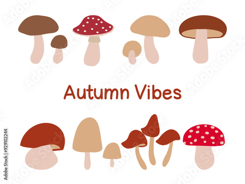 Colorful autumn mushrooms in a playful arrangement with a vibrant text overlay highlighting autumn vibes
