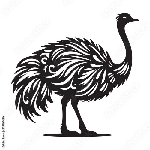 Ostrich silhouette vector illustration, Ostrich emu bird vector illustration on a white background photo