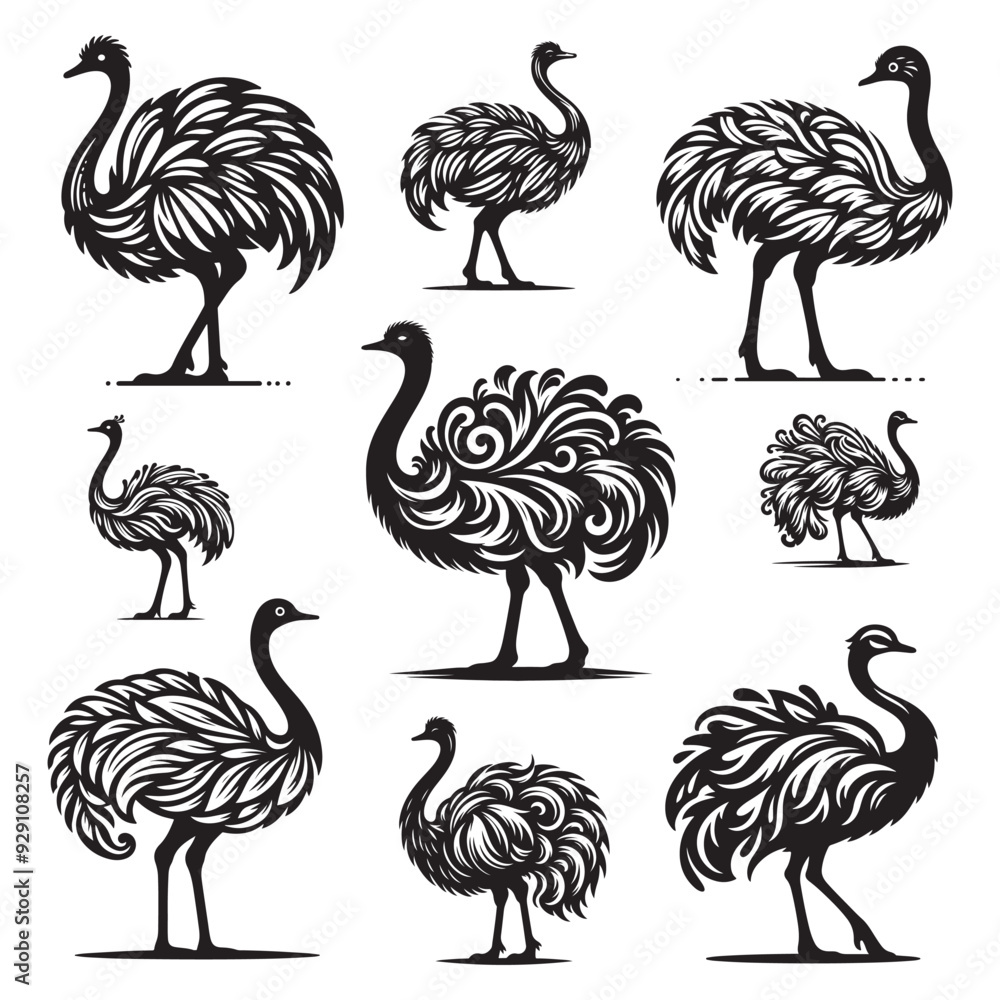 Obraz premium Ostrich Bundle silhouette vector illustration, Ostrich emu bird vector illustration on a white background