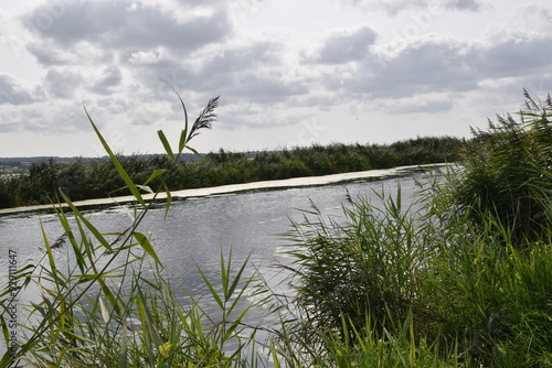 a walk along the exeter ship canal photo