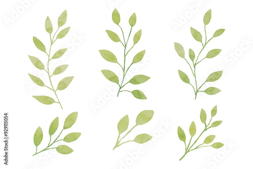 Assortment of watercolor leaves illustration set - green leaf branches collection for wedding, greetings, stationary, wallpapers, fashion, background. olive, green leaves, Eucalyptus etc