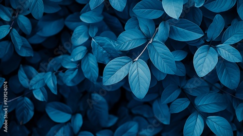 A close-up of blue-toned leaves creating a serene and calming visual effect.