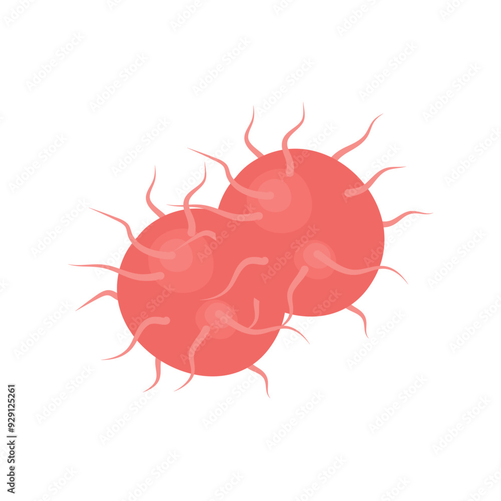 Vector isolated illustration of gonorrhea pathogen under a microscope. Gonorrhea bacteria. Сausative agent of gonorrhea. Vector isolated illustration of gonorrhea pathogen under a microscope. Gonorrhea bacteria. Сausative agent of gonorrhea.