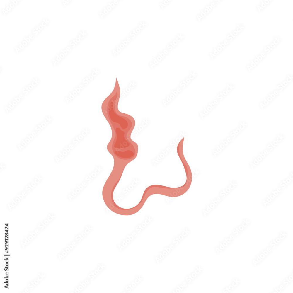 Flatworms parasite illustration 