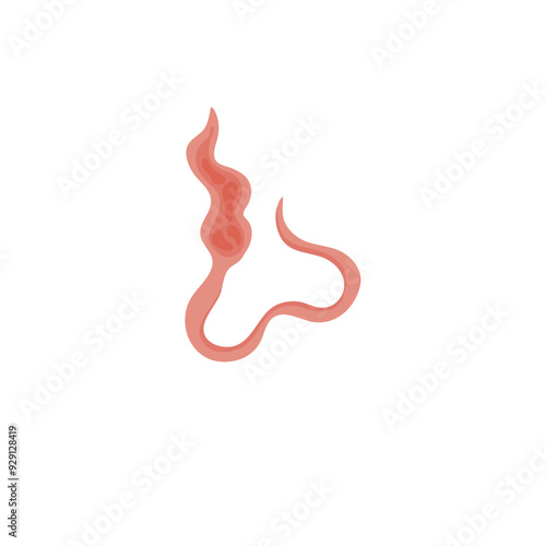 Flatworms parasite illustration 