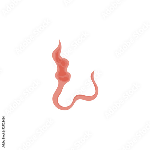 Flatworms parasite illustration 