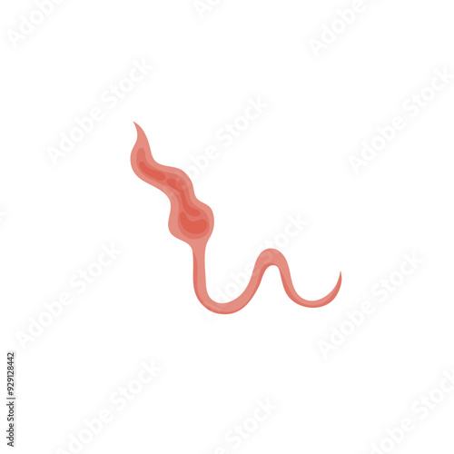 Flatworms parasite illustration 
