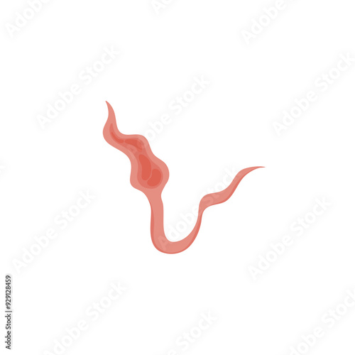 Flatworms parasite illustration 