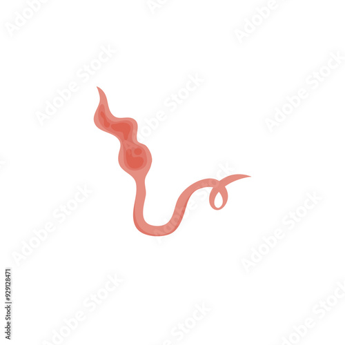 Flatworms parasite illustration 