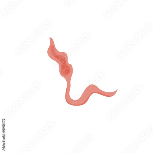 Flatworms parasite illustration 