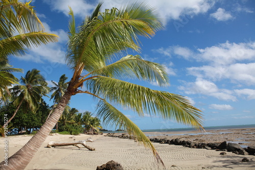 Beautiful tropical beach and palm trees, Savusavu, Fiji photo