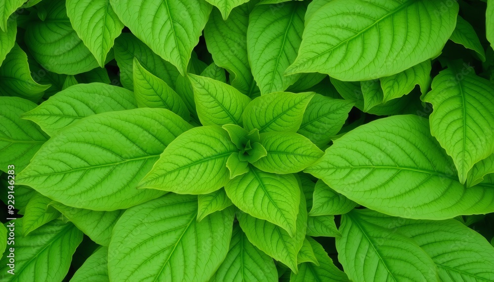 a thick spread of green leaves detailed veins visible with a few curling edges forming a vibrant and textured surface that covers the entire frame a thick spread of green leaves detailed veins visible with a few curling edges forming a vibrant and textured surface that covers the entire frame