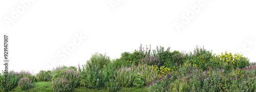 Colorful flower field foreground on transparent background