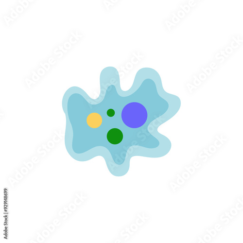 Binary fission in amoeba. Vector educational illustration. Reproduction