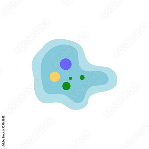 Binary fission in amoeba. Vector educational illustration. Reproduction