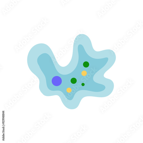 Binary fission in amoeba. Vector educational illustration. Reproduction