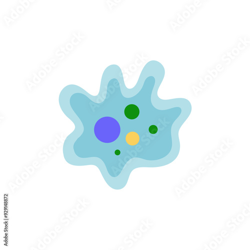 Binary fission in amoeba. Vector educational illustration. Reproduction