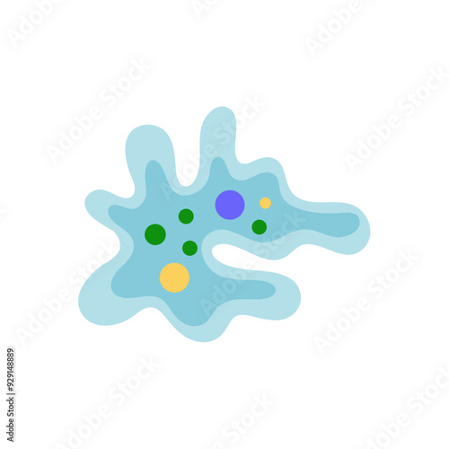 Binary fission in amoeba. Vector educational illustration. Reproduction