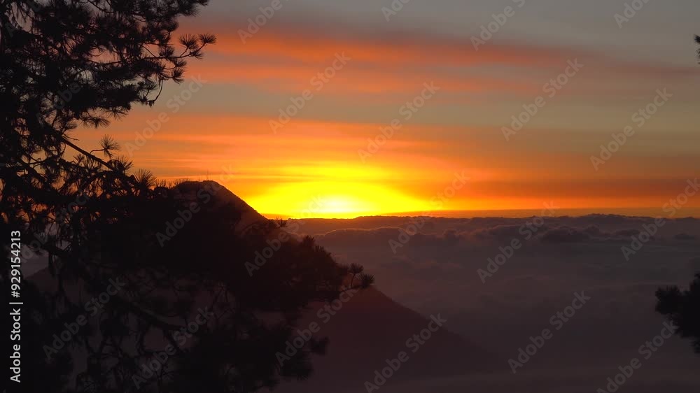 Looking through the trees at the peak of a volcano during a red sunrise. A view from Acatenango Volcano above the clouds (3000+ meters) Looking through the trees at the peak of a volcano during a red sunrise. A view from Acatenango Volcano above the clouds (3000+ meters)