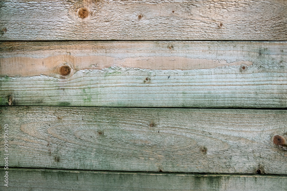 Fototapeta premium Rustic Wooden Planks Texture with Natural Knots for Background and Design