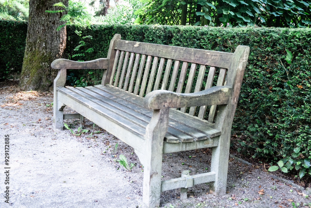 Rustic Wooden Bench in Serene Garden Setting with Greenery and Tree Shade Rustic Wooden Bench in Serene Garden Setting with Greenery and Tree Shade