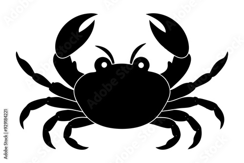 Cute crab vector art illustration photo