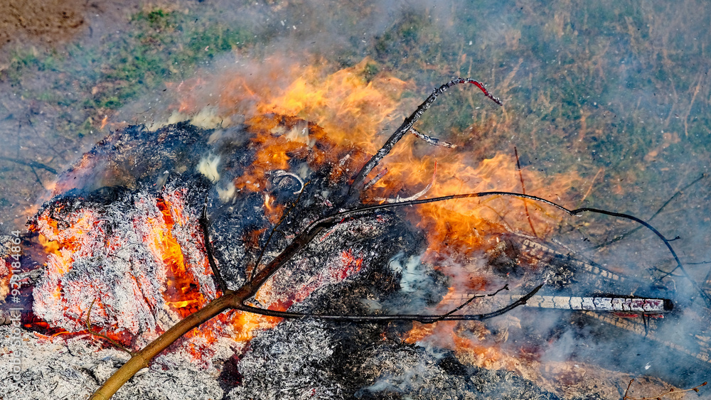 The smoke from the fire is drifting upwards into the clear sky. The smoke from the fire is drifting upwards into the clear sky.
