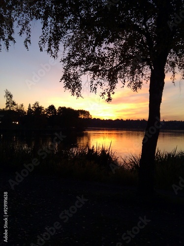 Sunset Silhouette over the Lake