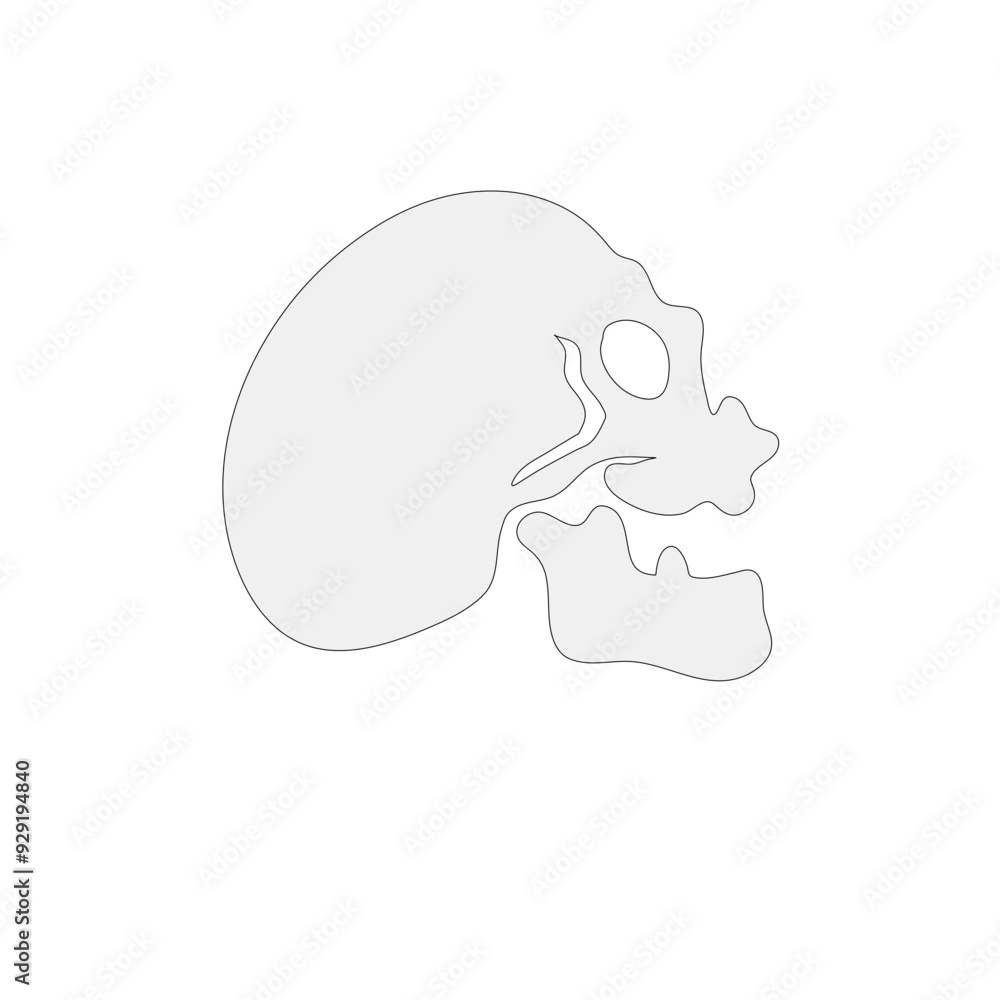 skull logo icon design vector illustration skull logo icon design vector illustration