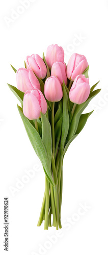 Wallpaper Mural Bouquet of pink tulip flowers isolated on white or transparent background, png clipart, design element. Easy to place on any other background. Torontodigital.ca