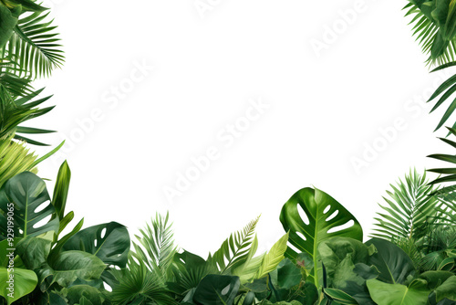 Fototapeta Naklejka Na Ścianę i Meble -  PNG  Lush tropical leaves border frame