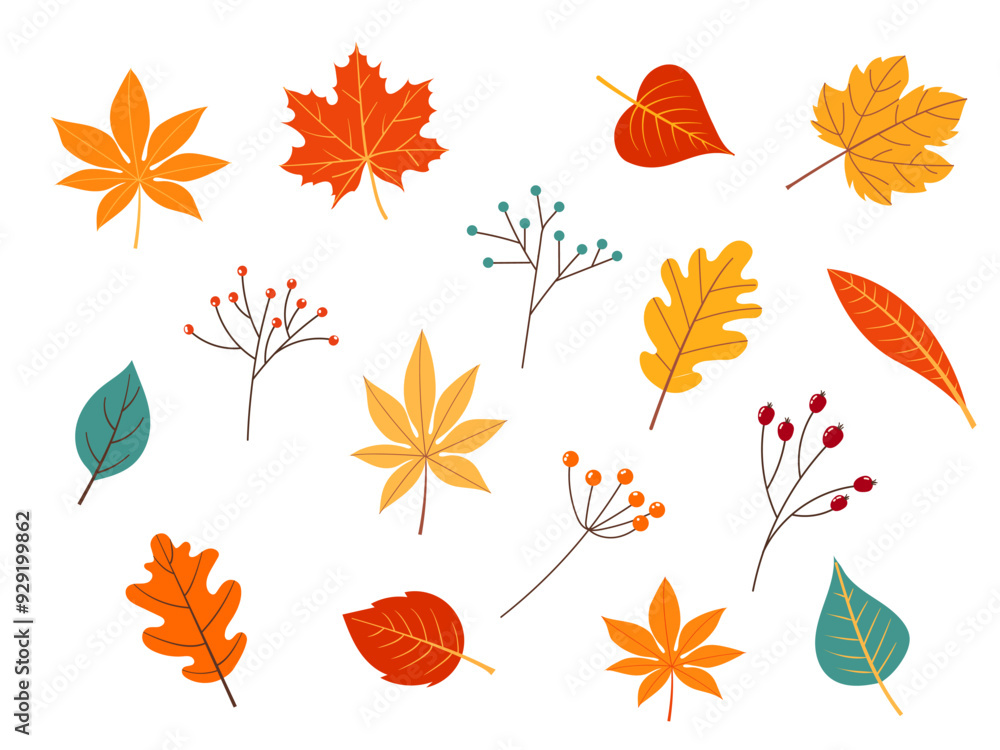 Obraz premium set of autumn leaves. Vector illustration.