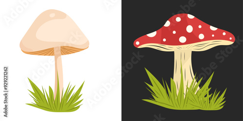 Autumn Mushroom set. Cute vector mushrooms in botanical wildlife concept. For fall decor, cards, posters.