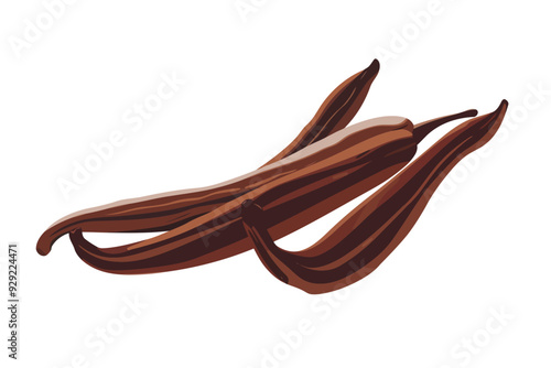 Dry vanilla beans stock image isolated vector style