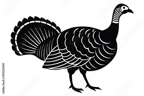 Wild Turkey on Vector Illustration, wild turkey vector illustration, perfect for wildlife and nature