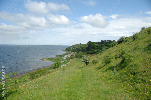 Green Landscape