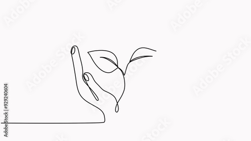 Hands holding leaves branch continuous line drawing animated video. Plant in human arm one line art.