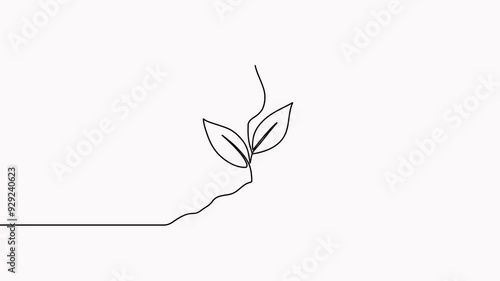 Leaves continuous line drawing animated video. Plant branch one line art.