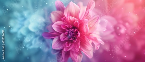  A tight shot of a pink blossom against a backdrop of blue and pink Droplets of water punctuate the foreground