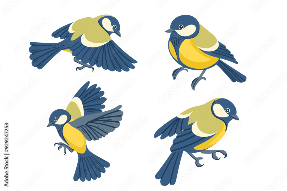 Obraz premium Set of Cute tit bird in motion. Cartoon animal design, stylized bird with blue and yellow feathers. Vector illustration isolated on white background