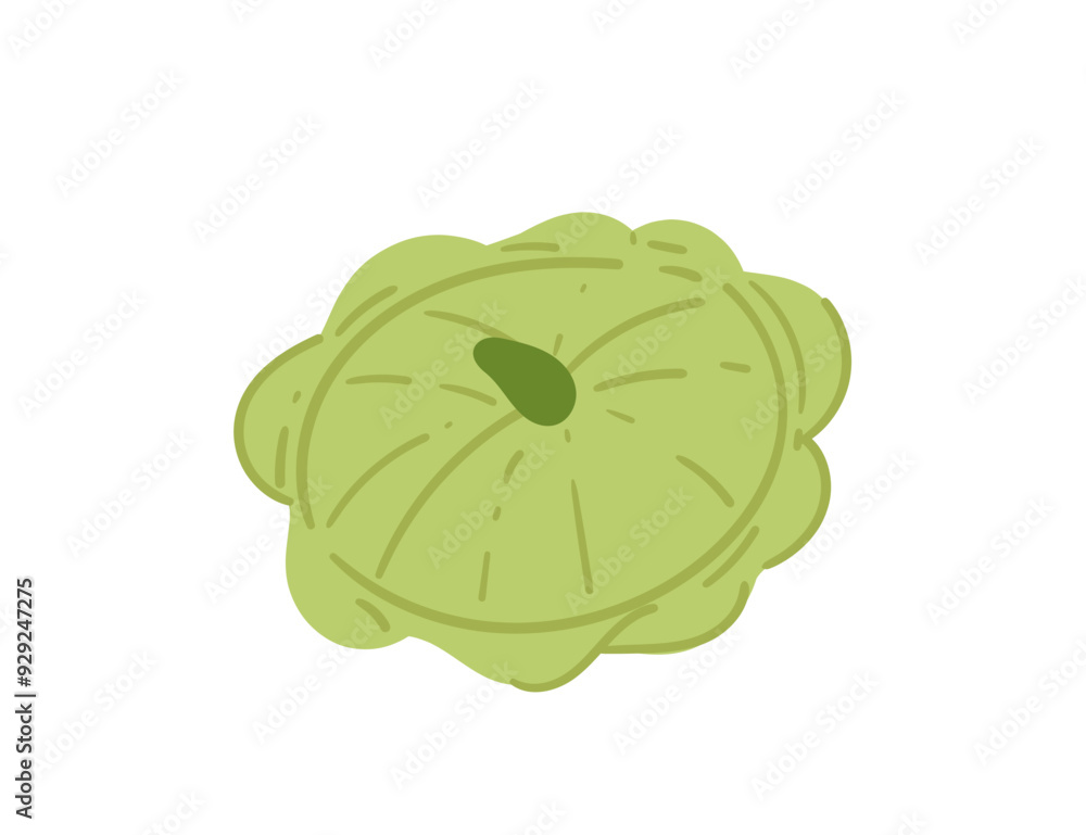 Green patisson squash vegetable. Fresh veggie of agriculture crop plant. Vector illustration isolated on white background Green patisson squash vegetable. Fresh veggie of agriculture crop plant. Vector illustration isolated on white background